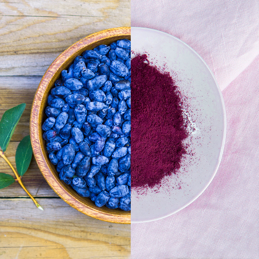 Fresh vs freeze-dried