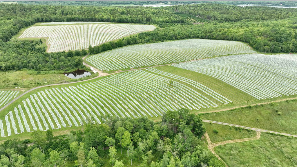 Farm update Summer 2022