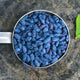 Haskapa Superfood Berry Powder