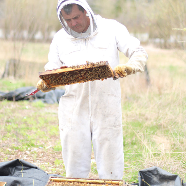 Meet Our Beekeeper