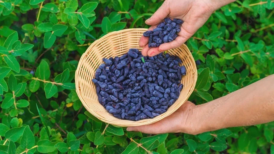 Why that daily spoonful is doing more than you think
