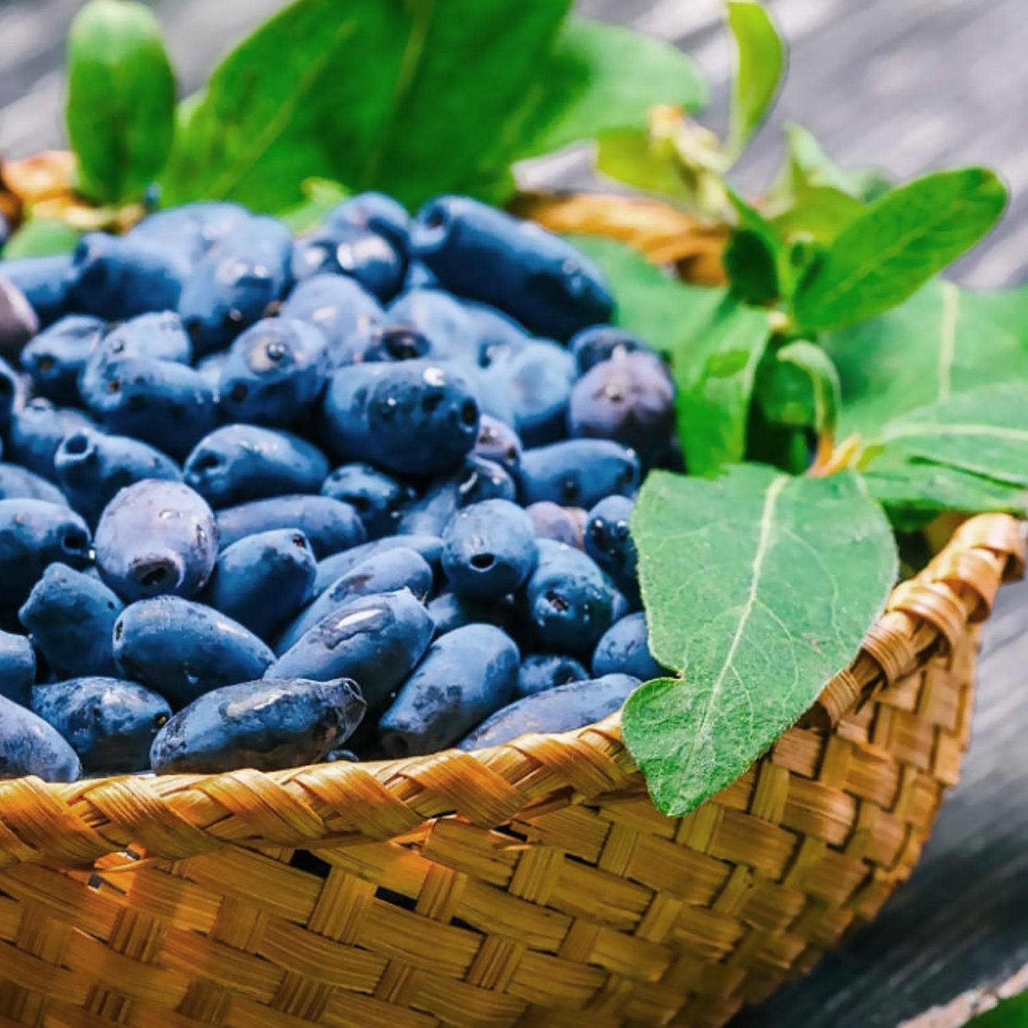 Why what you eat might be changing how you feel