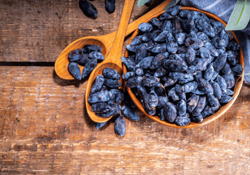 5 Top Tips To Use Haskapa In Your Daily Routine