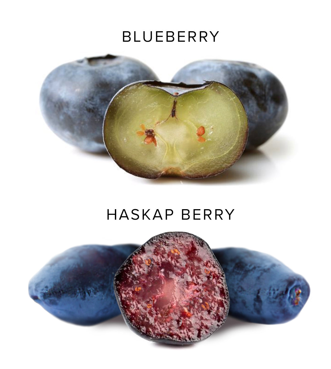 Haskapa Organic Superfood Berry Powder Single Pack Haskapa