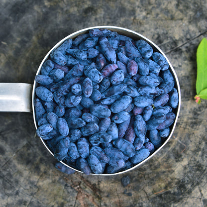 Haskapa Superfood Berry Powder Subscription